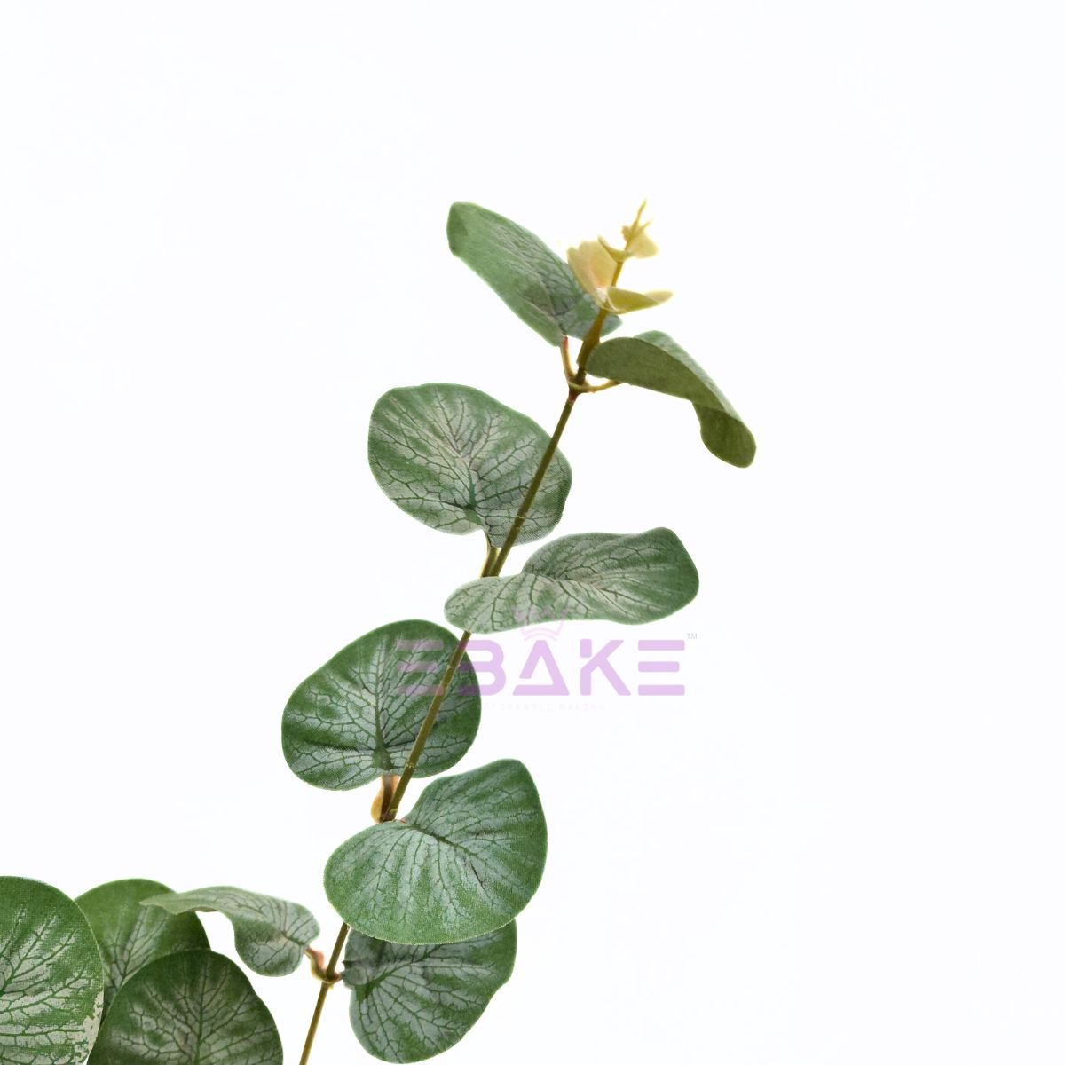 Imported Eucalyptus Filler Bunch (Single Piece)