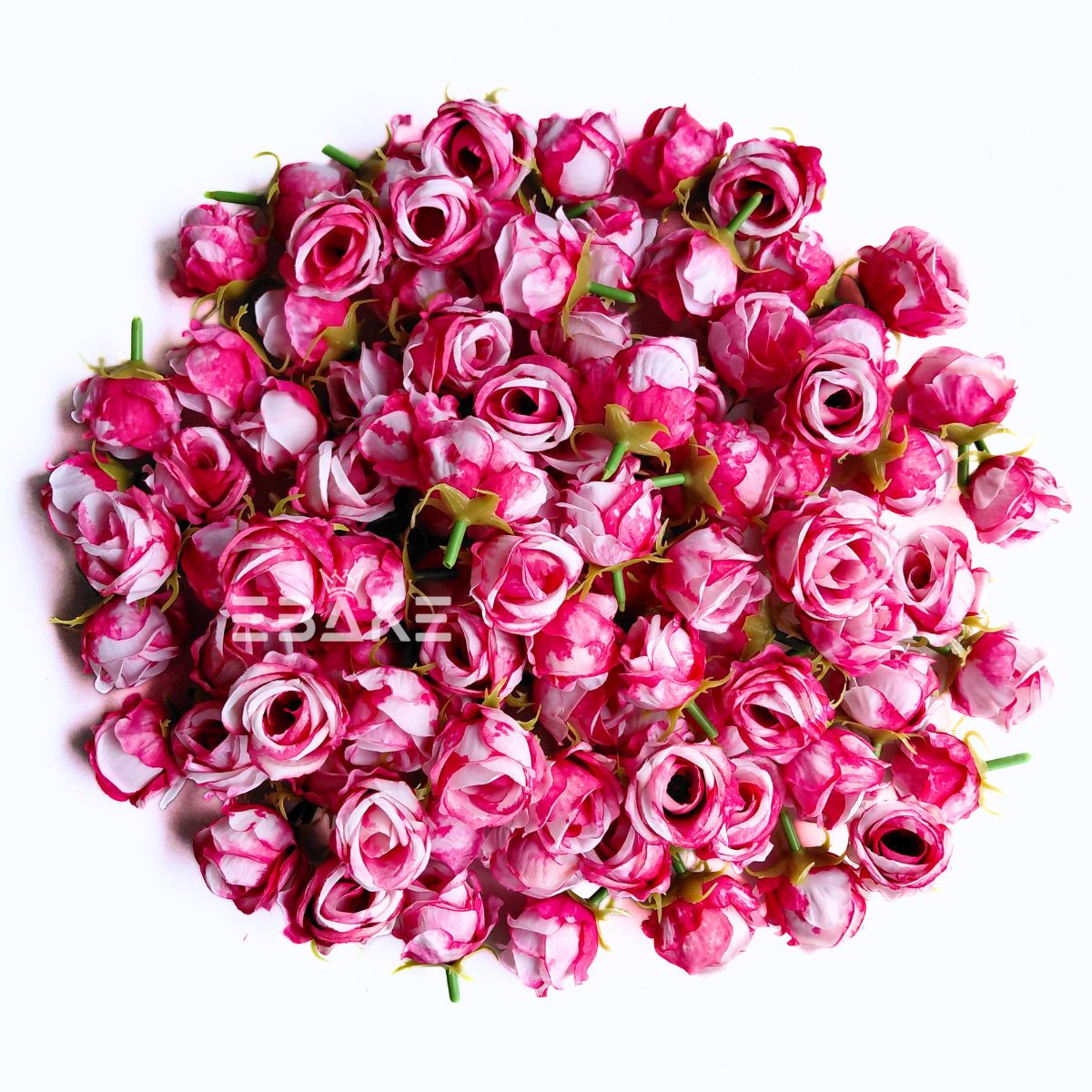 Mini Rose -A1993