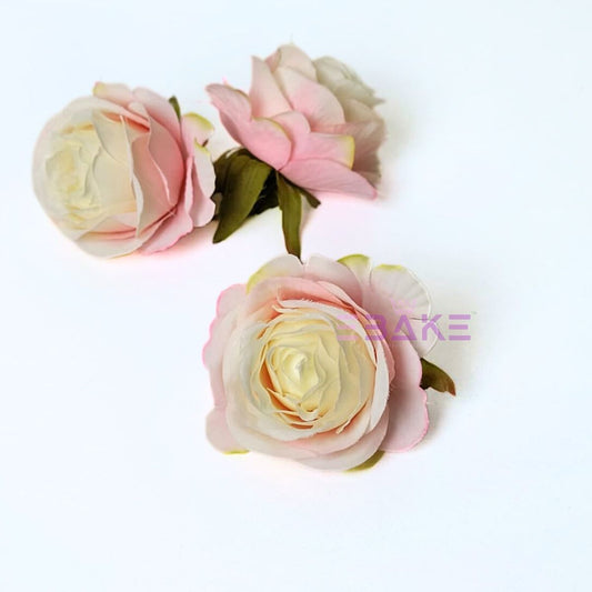 English Rose - A1788
