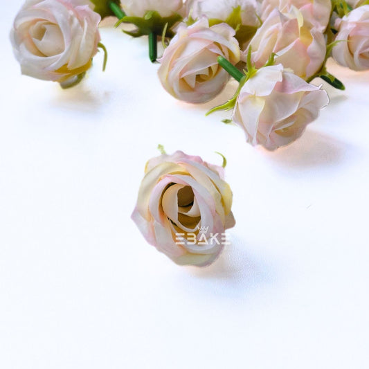 Mini Rose - A1996 Shaded Cream
