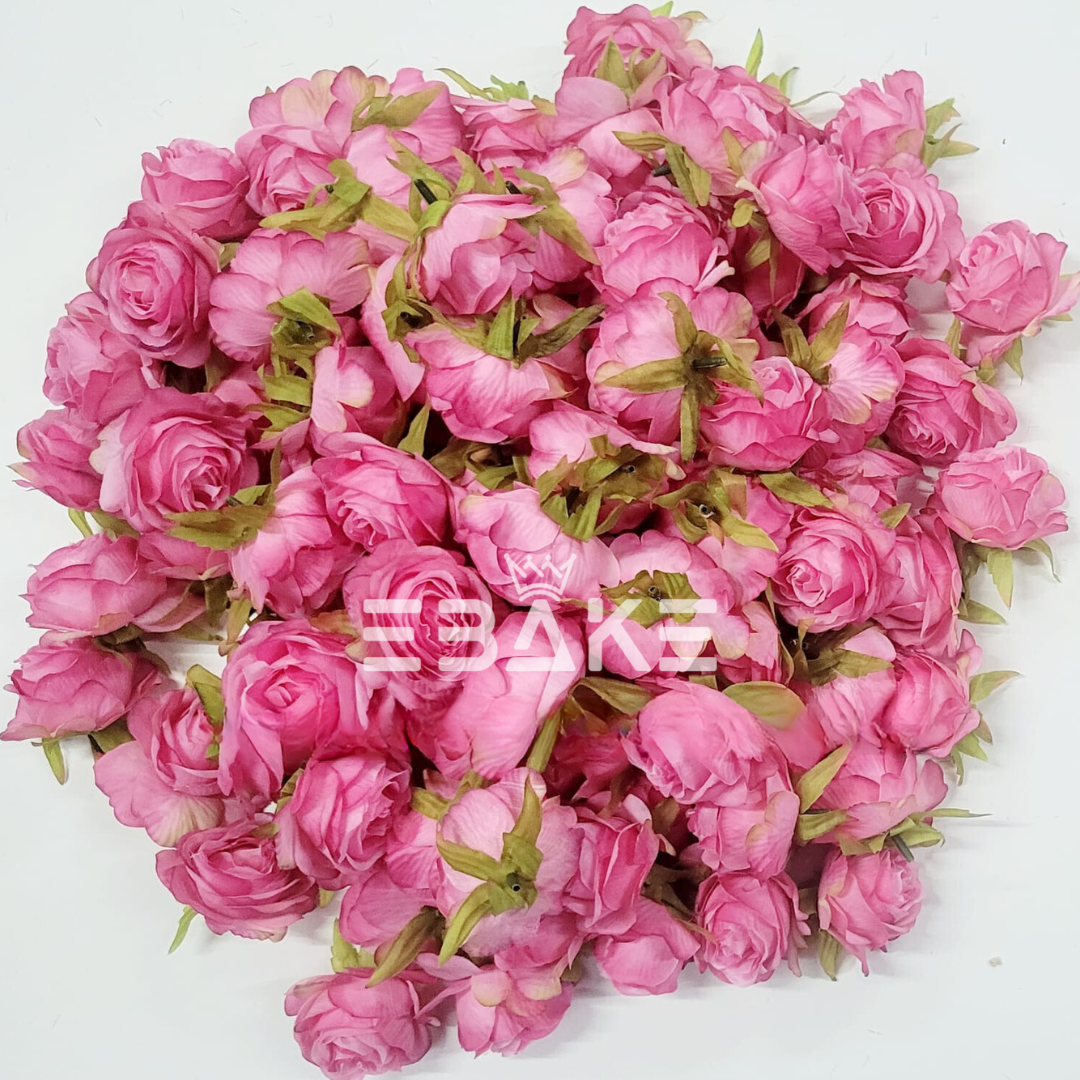English Rose - A559 Pink