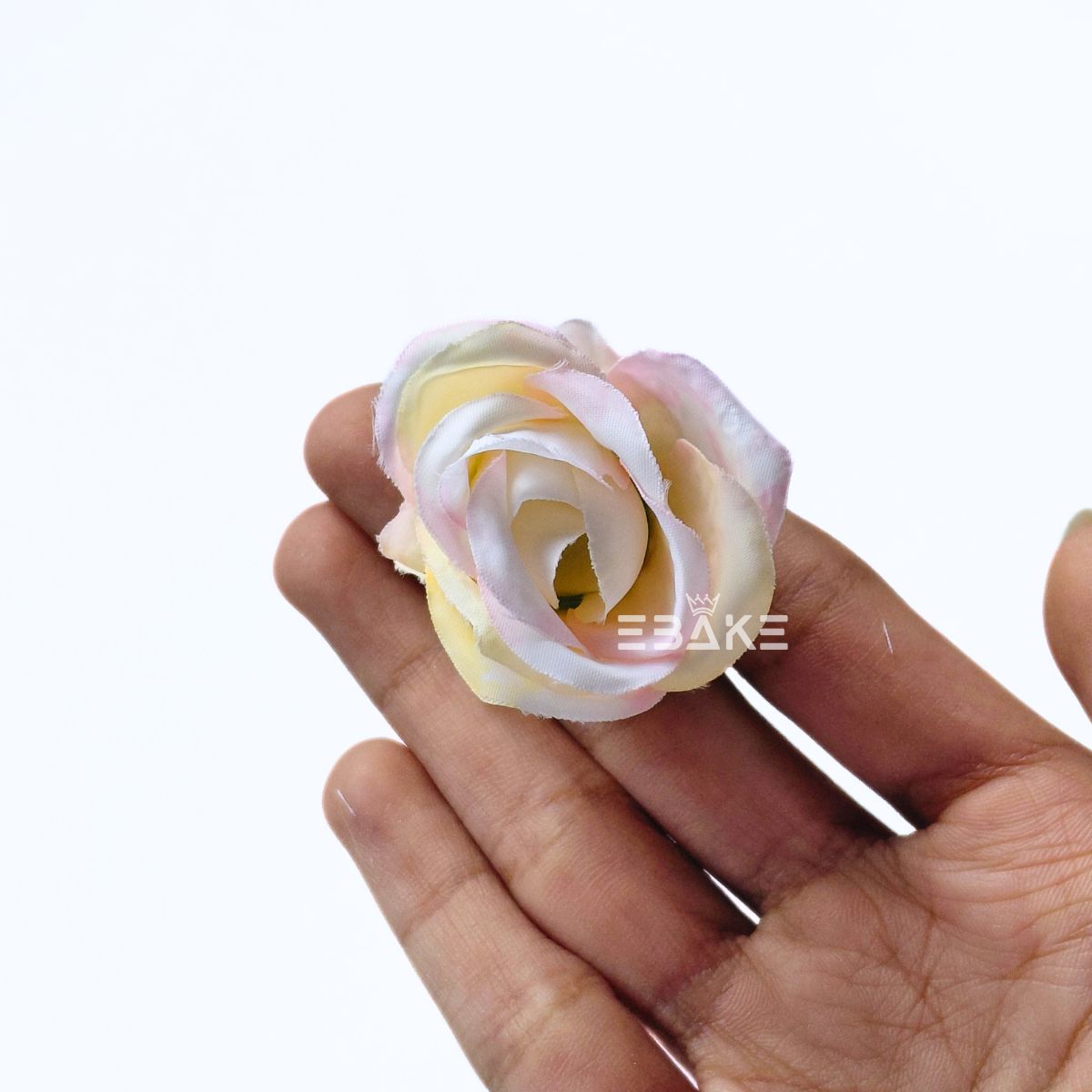 Mini Rose - A1996 Shaded Cream