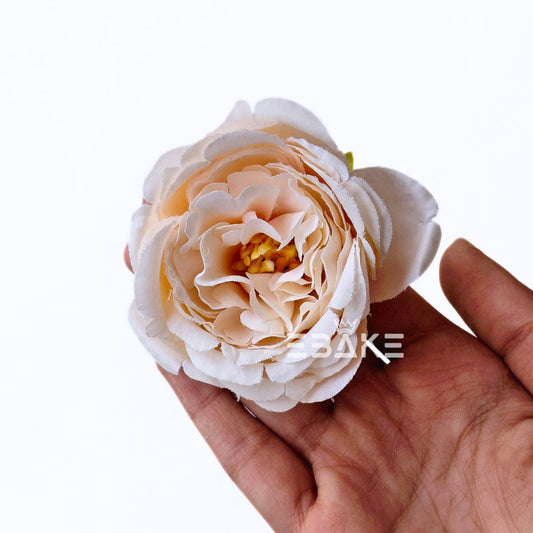 Medium Peony - A1975