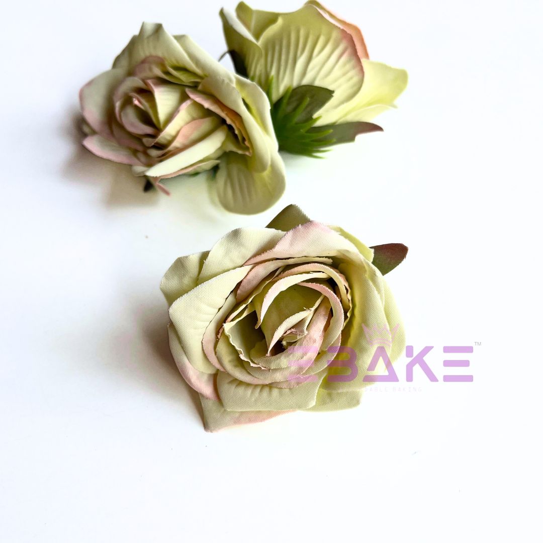 Pastel Rose - A1795