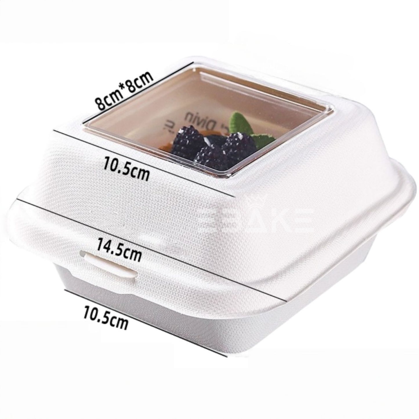 6" Bento With Transparent Window (Set of 5)