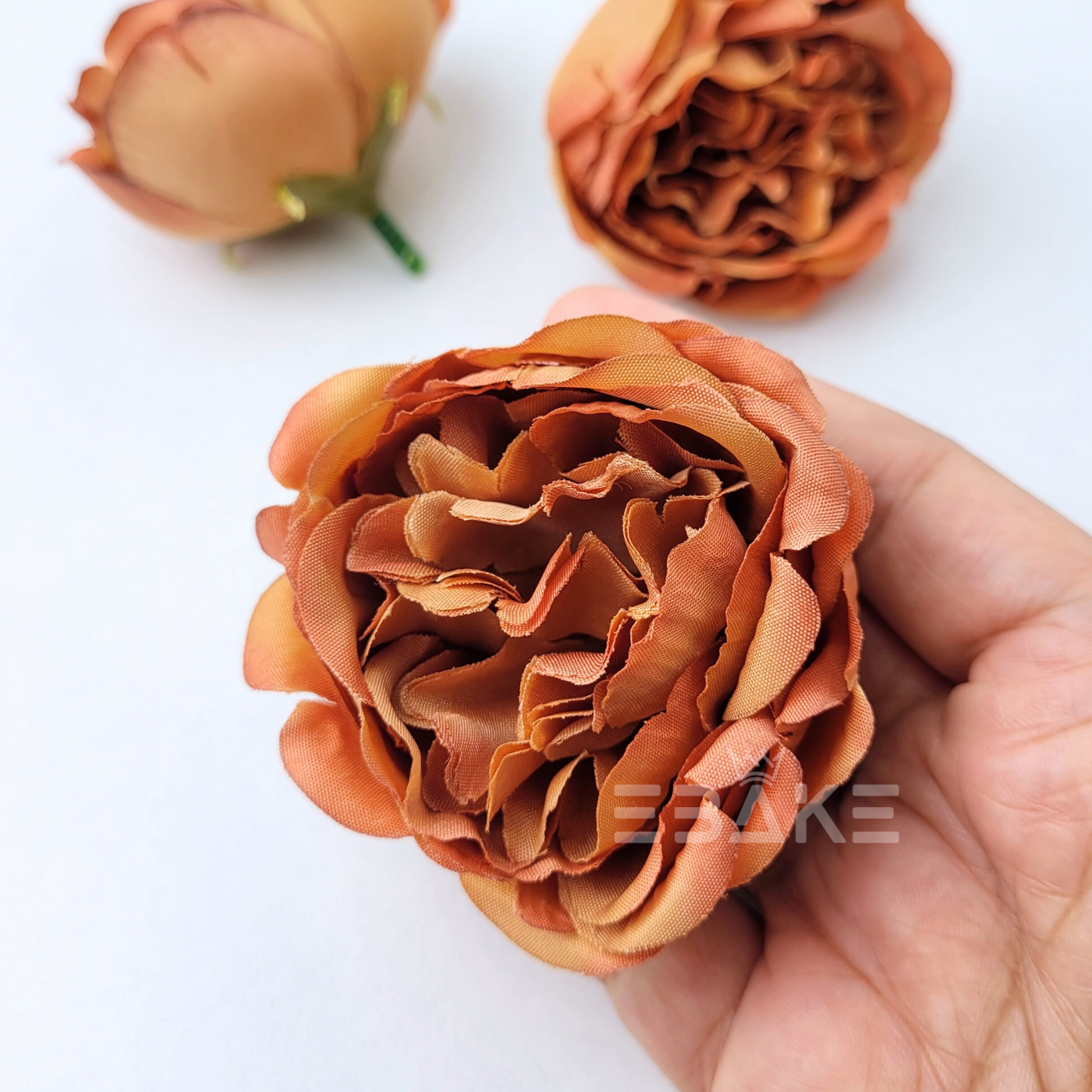 Medium Peony - A1110