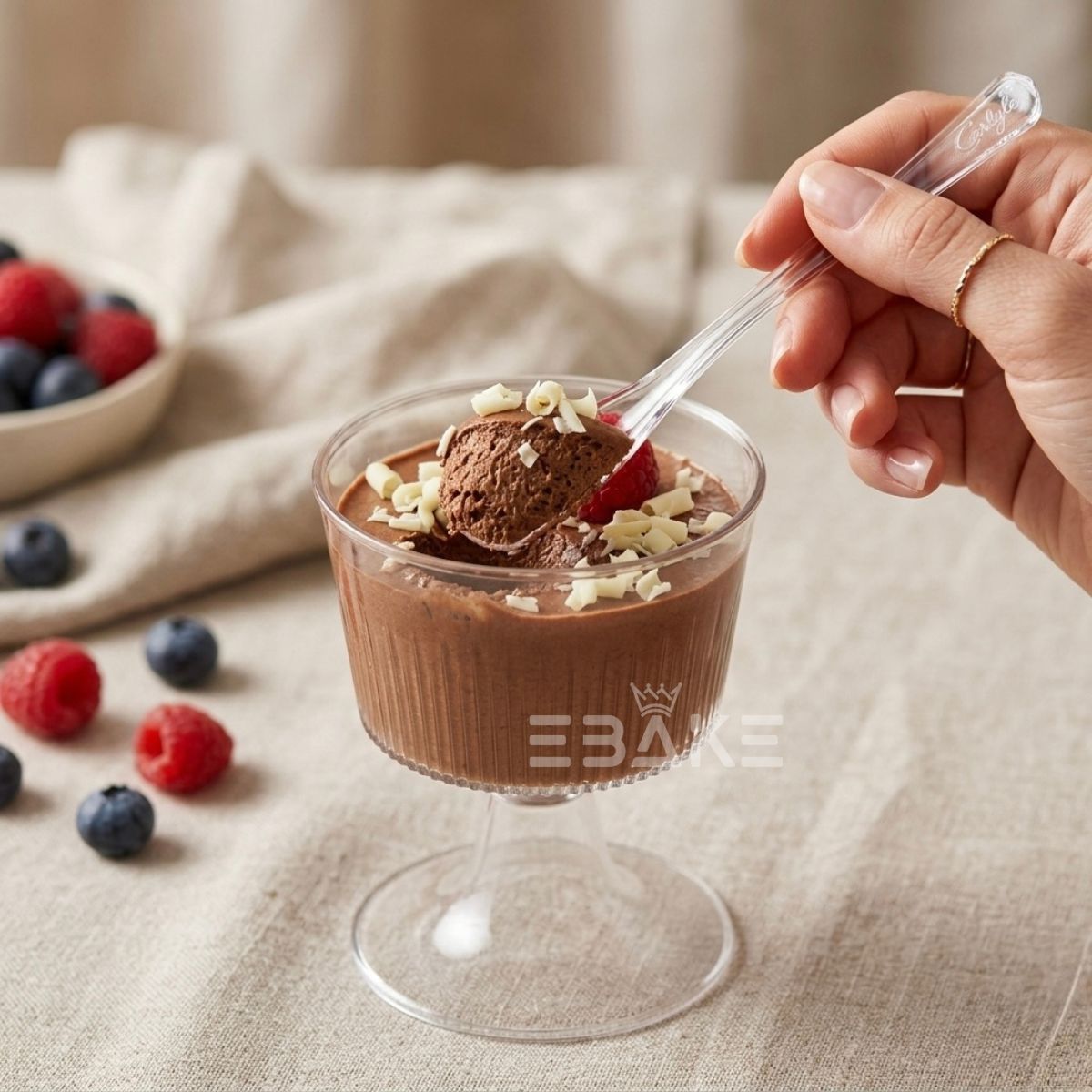 Plastic Spoons / Clear Acrylic Dessert Spoons (Set of 10)
