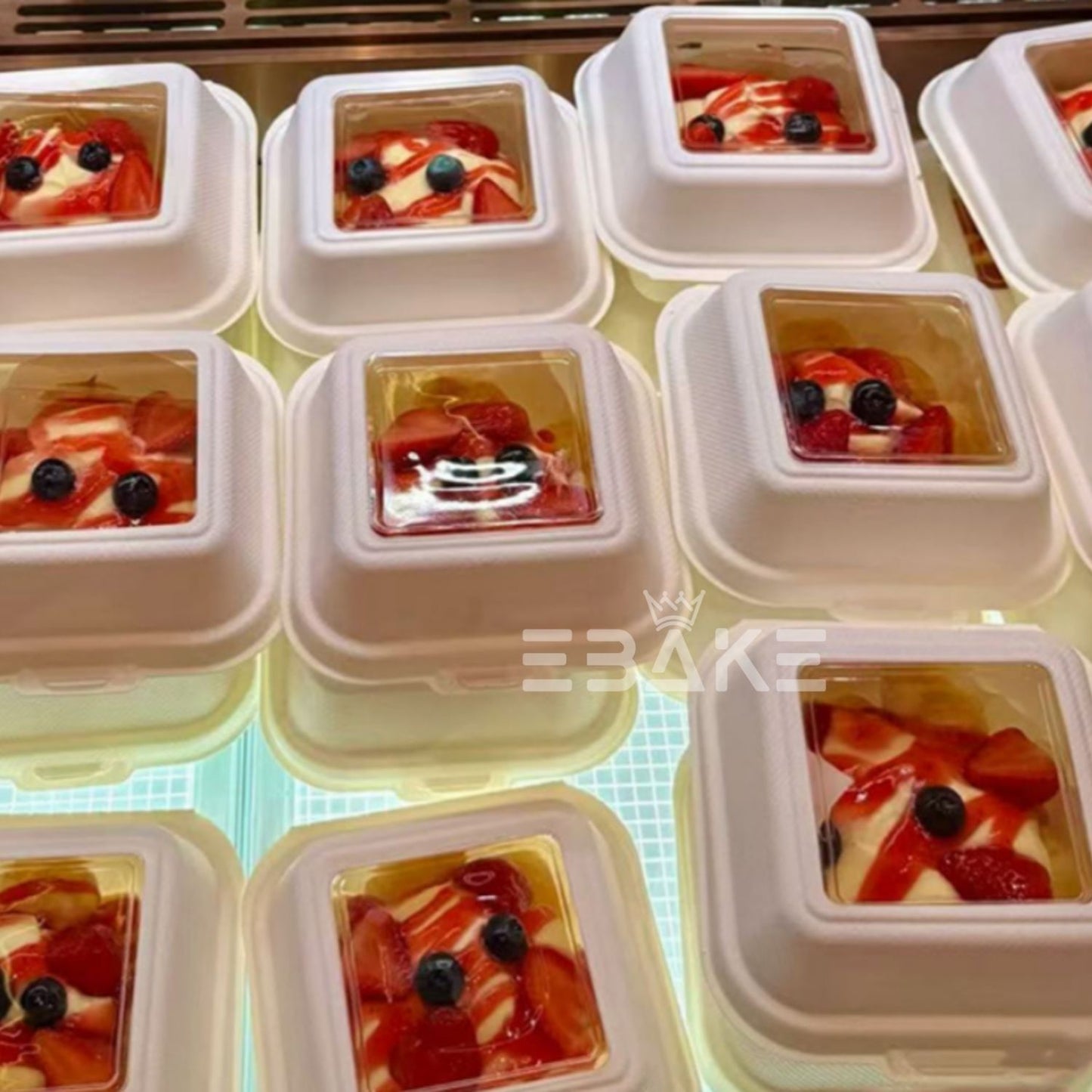6" Bento With Transparent Window (Set of 5)