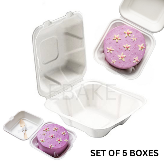 Bento Cake Box - Large (Set of 5)