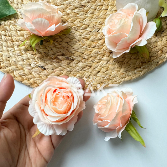 English Rose - A1114 Peach