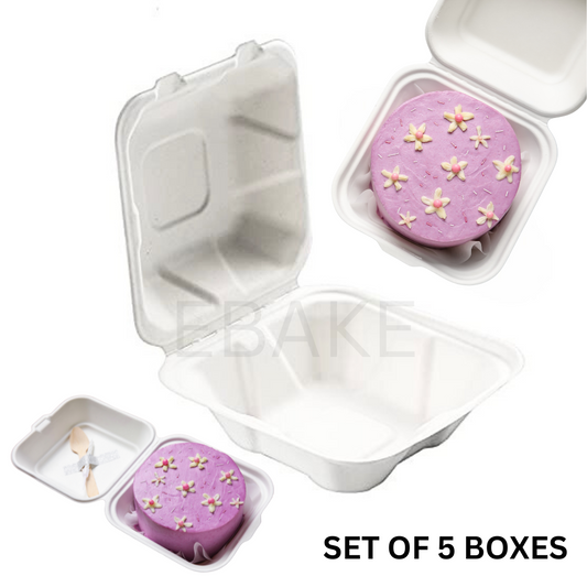 Bento Cake Box - Small (Set of 5)