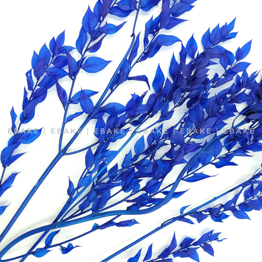 Dried Italian Ruscus Leaves - Blue (3 Pcs)