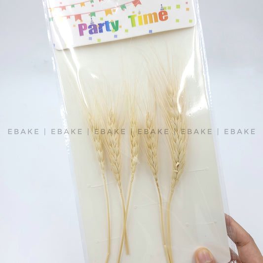 Wheat Blooms - Bleached White