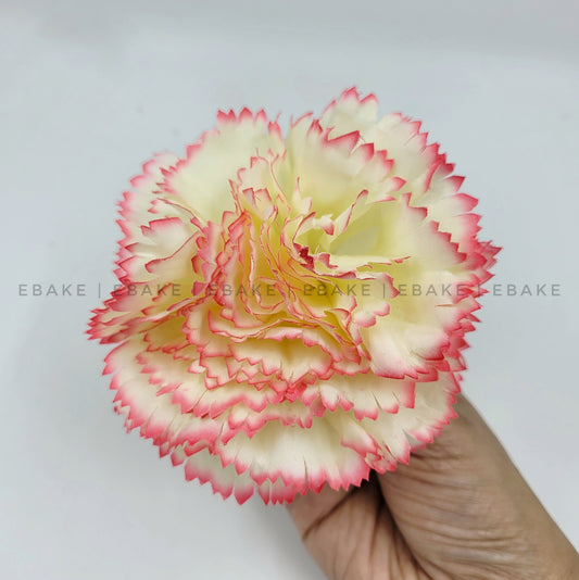 Carnation Large - A457 Shaded Pink (Single Piece)