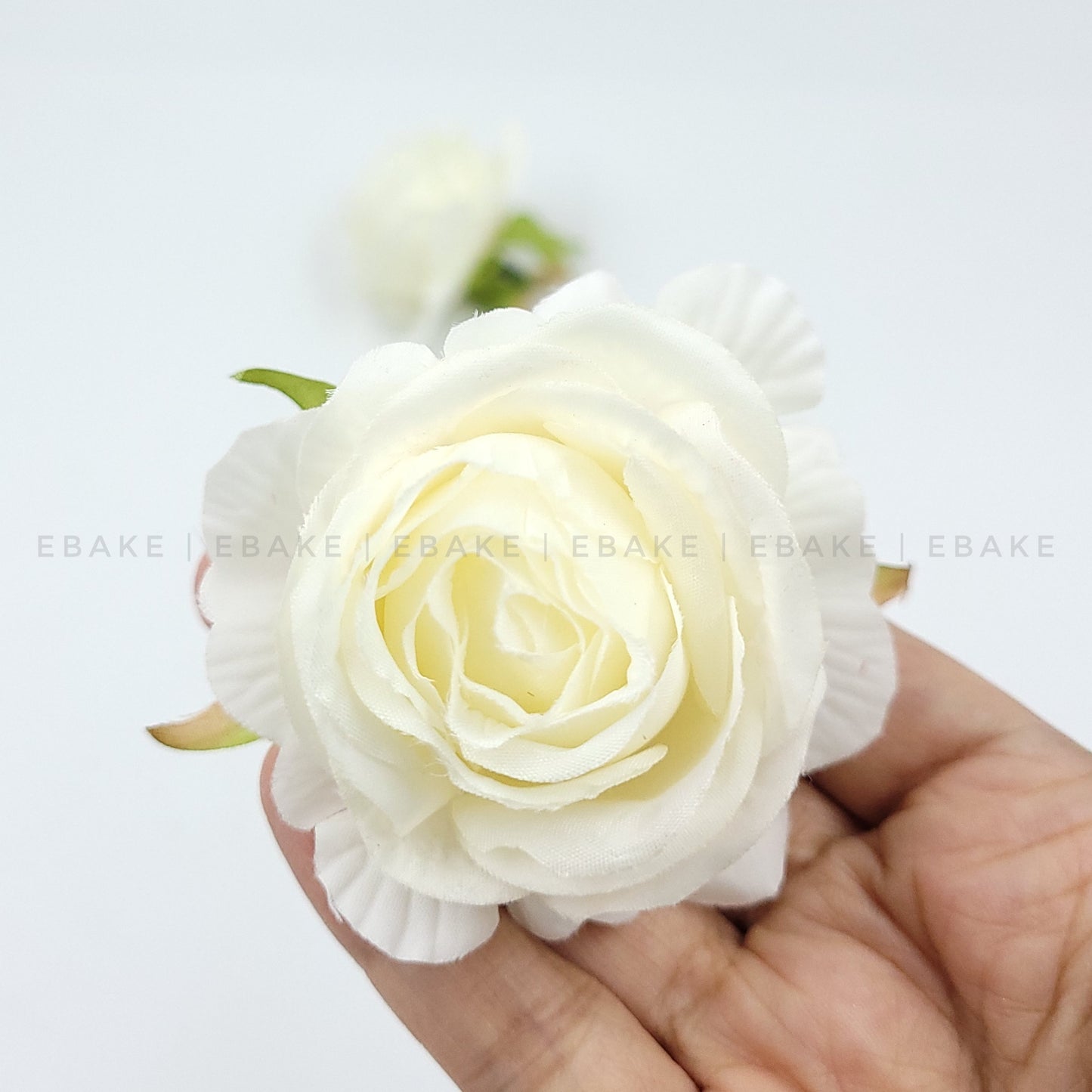 English Rose - A563 White