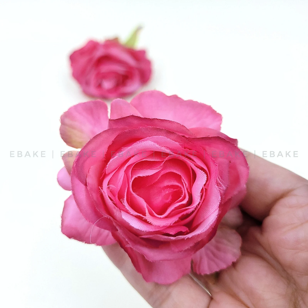 English Rose - A559 Pink