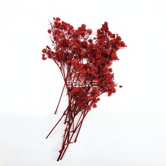Dried Baby's Breath Bunch - Red