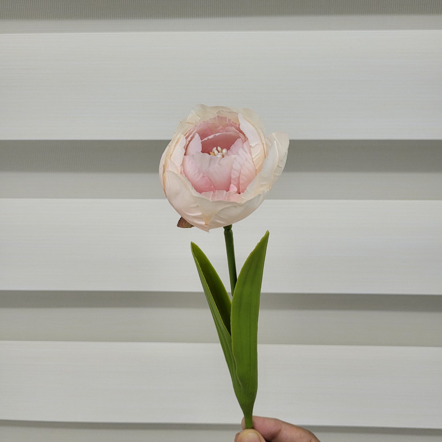 Peony With Leaves (Single Stem) A852