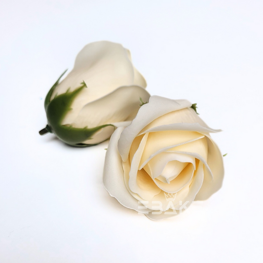Scented Rose - Cream (Single Piece)