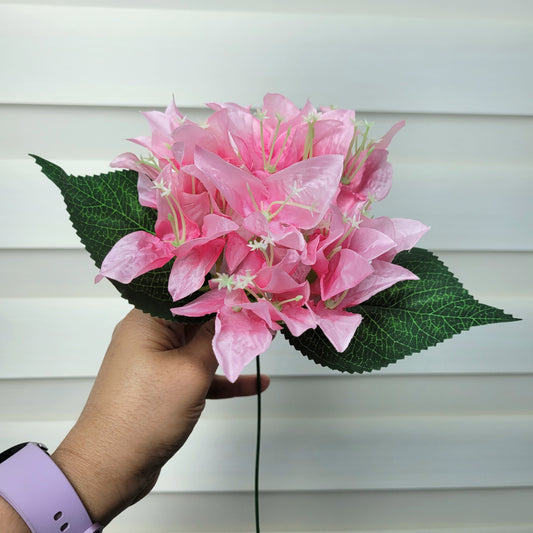 A942 Light Pink Bougainvillea (Single Branch)