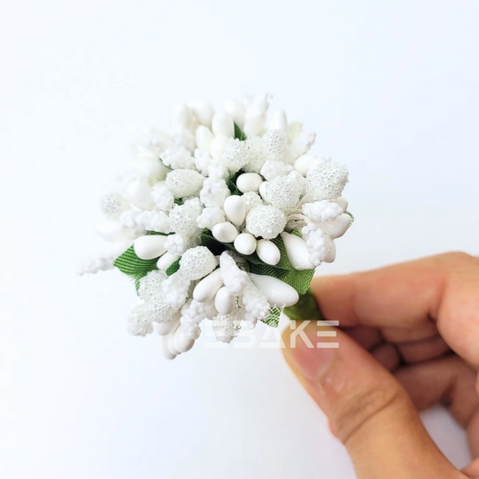 Pollen - White (Bunch Of 12 Pieces)