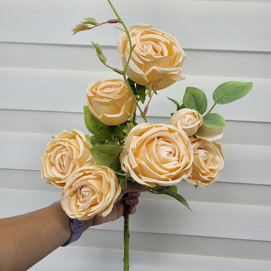 Rose Bunch A480 (8 Roses)