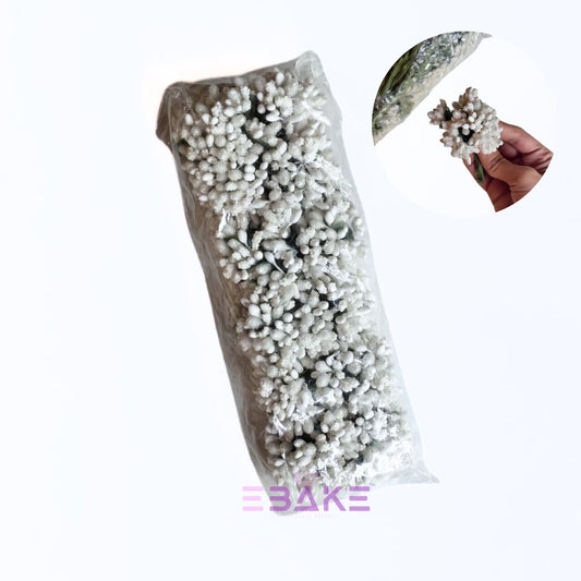 Pollen - (Pack Of 12 Bunches)