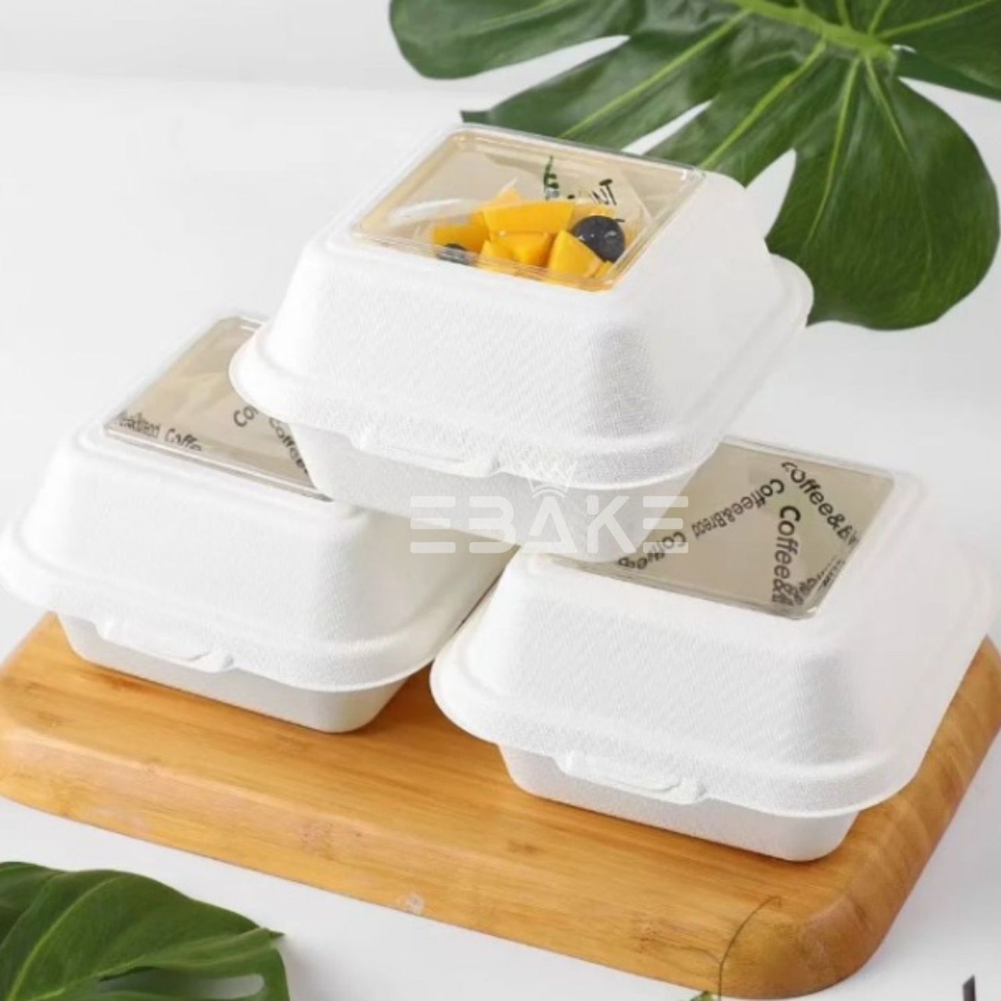 6" Bento With Transparent Window (Set of 5)