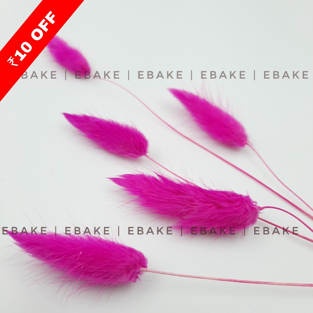 Bunny Tails Grass Fuchsia (Rabbit Tails/Lagurus) – EBAKE