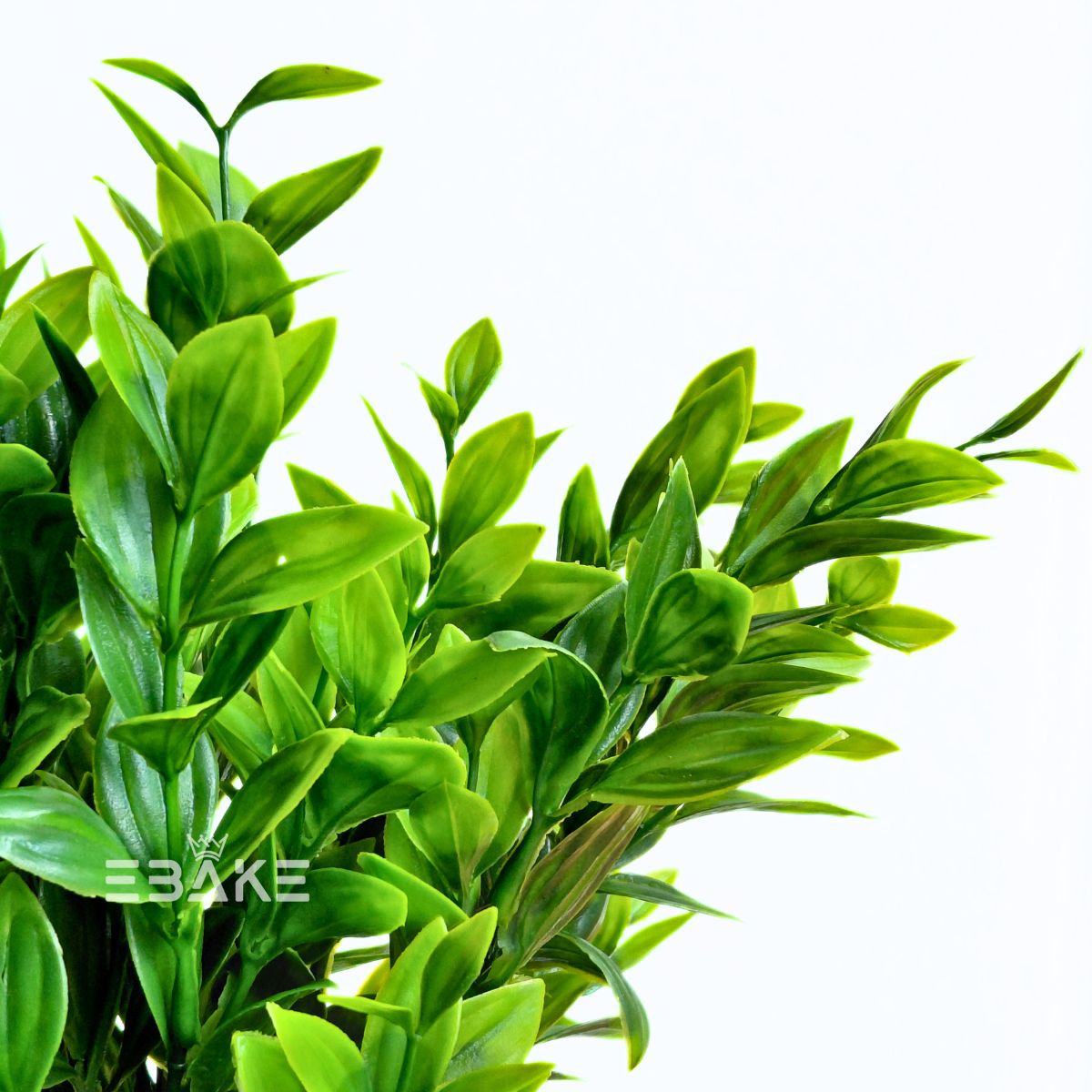 Green Filler Bunch