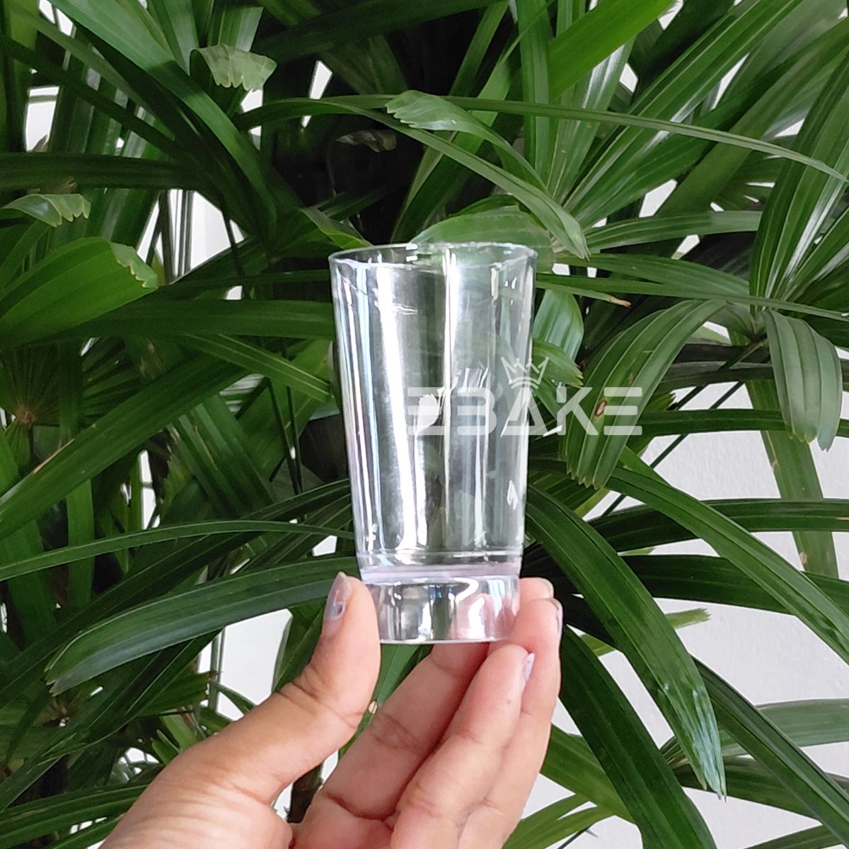 Acrylic Dessert Cups / Mousse Cups / Shot Glass (Set of 5)