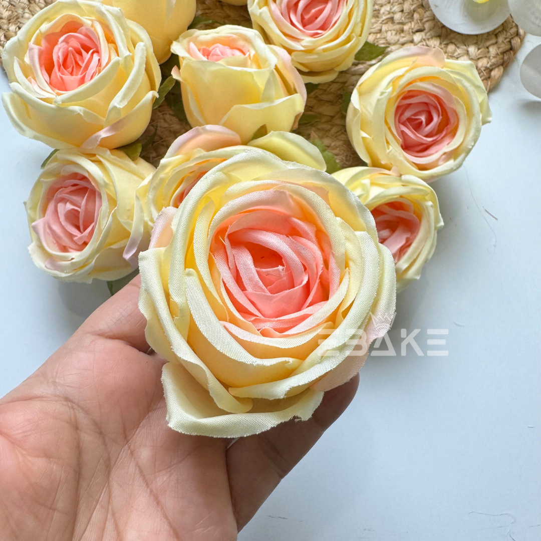 Cabbage Rose - A607 Cream & Pink