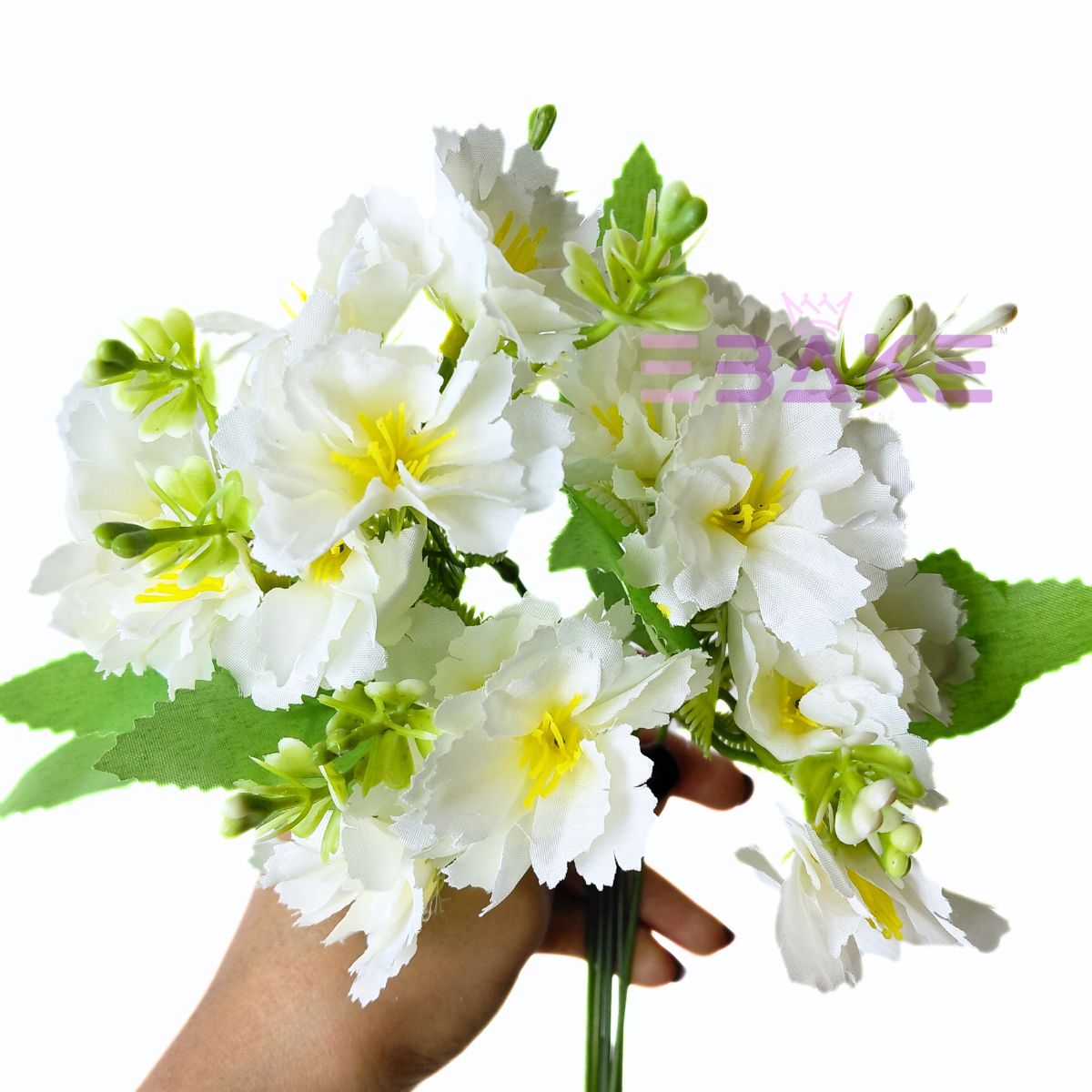 A1879 Dianthus/ Carnation Bunch With Fillers
