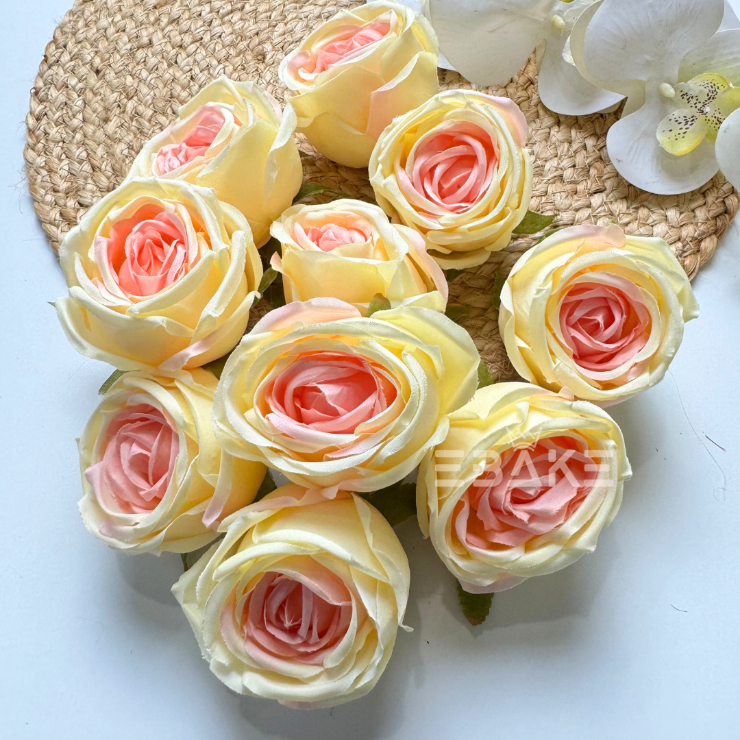 Cabbage Rose - A607 Cream & Pink