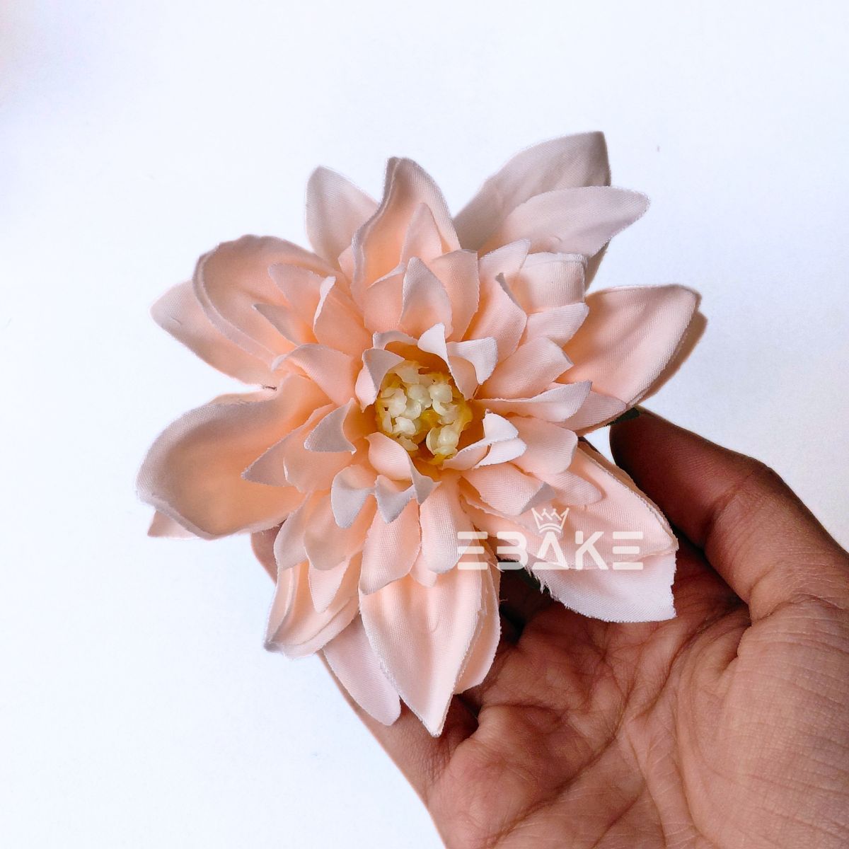Dahlia - A1982 (Peach)