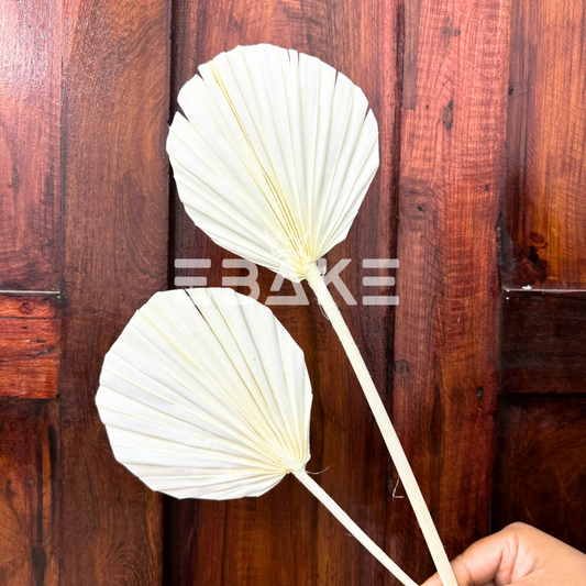 Premium Bleached Palm Leaf - Round (Bleached White) Single Piece