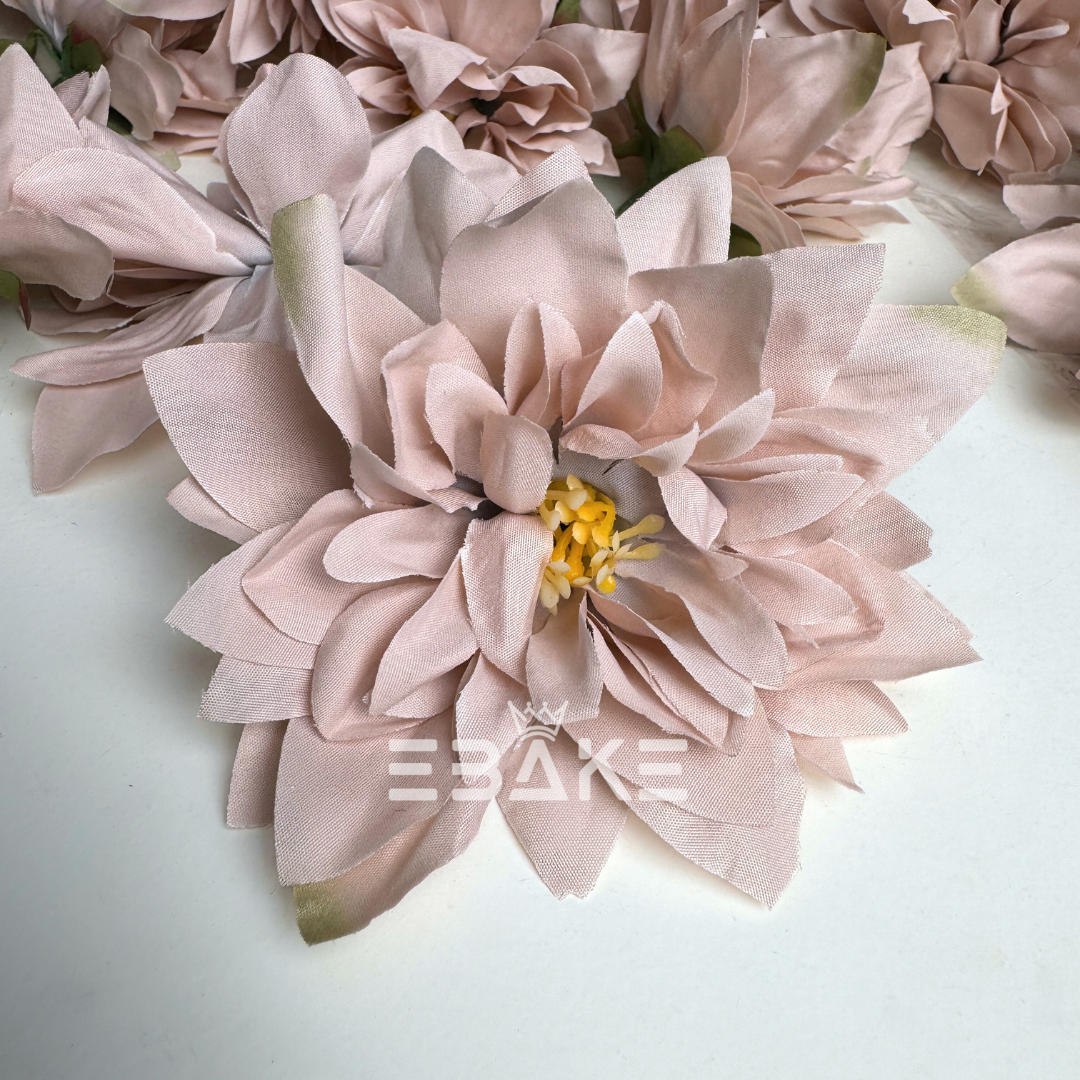 Beige Dahlia - A916 (Single Piece)