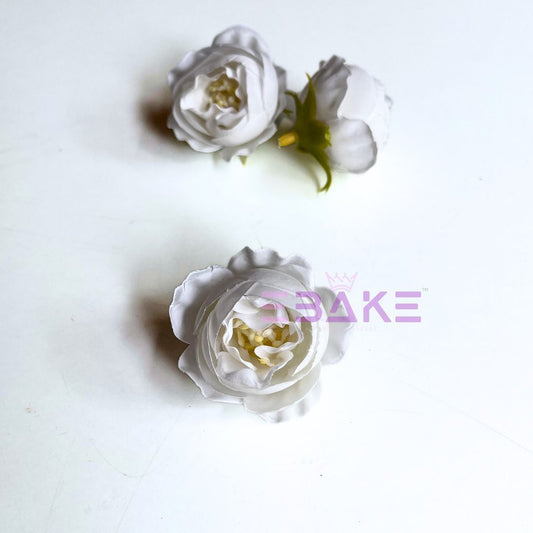 Small Peony - A1802
