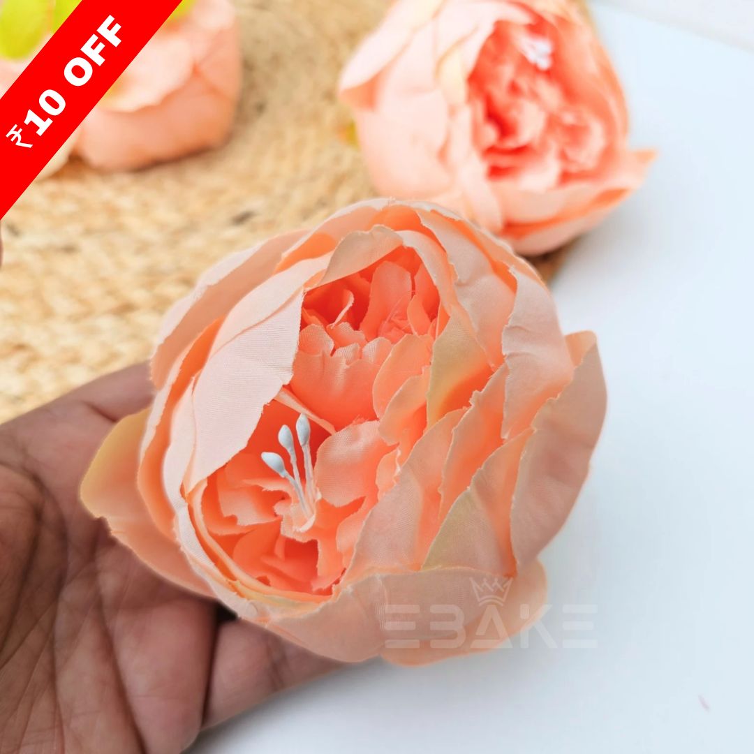 Large Peony - A155 Peach (Jumbo Peony)