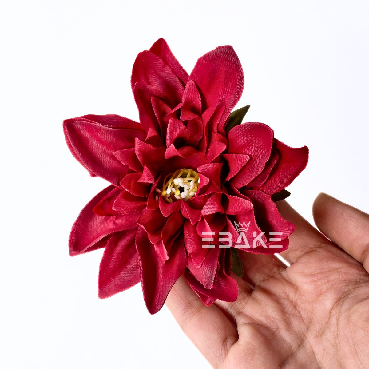 Dahlia - A1985 (Maroon)