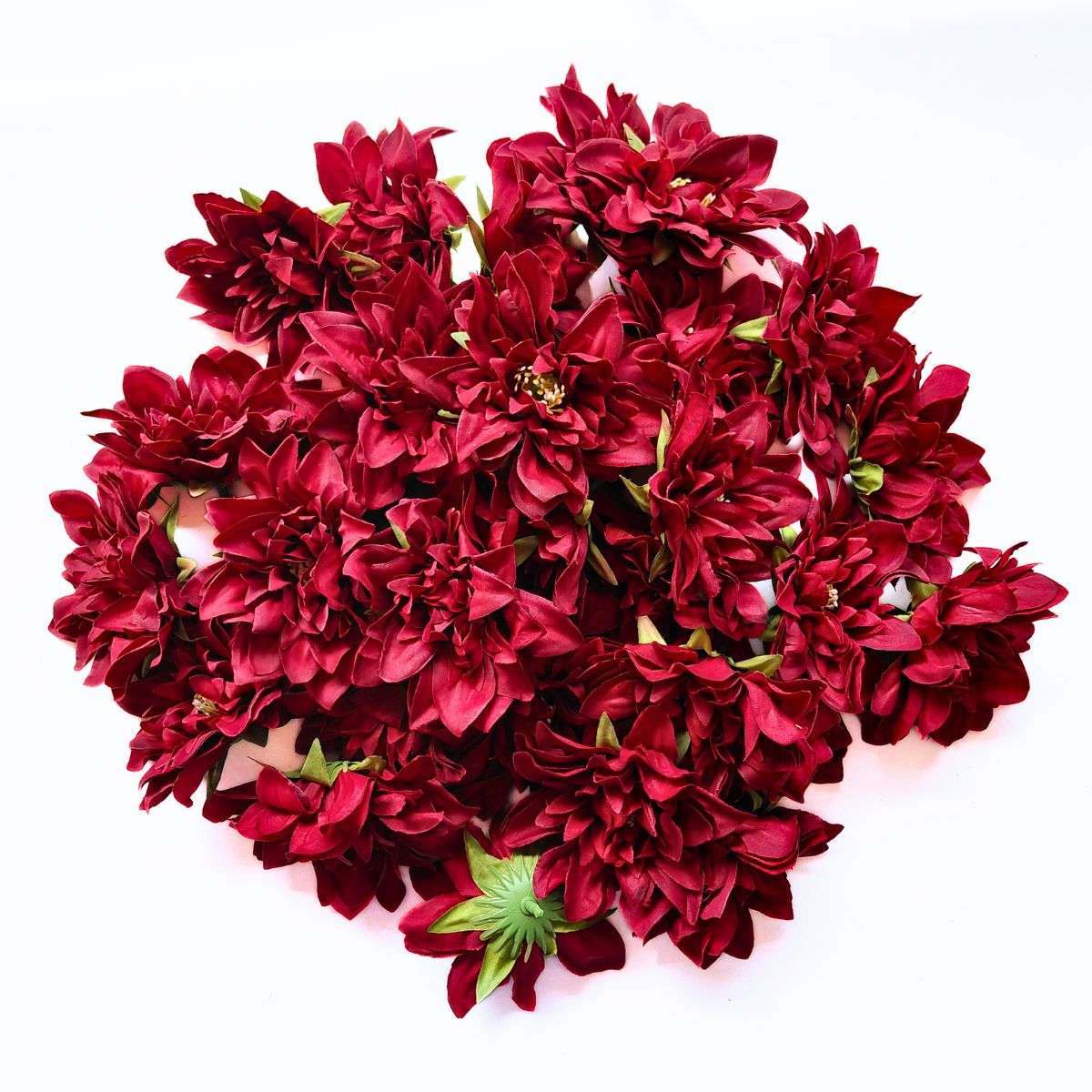 Dahlia - A1985 (Maroon)