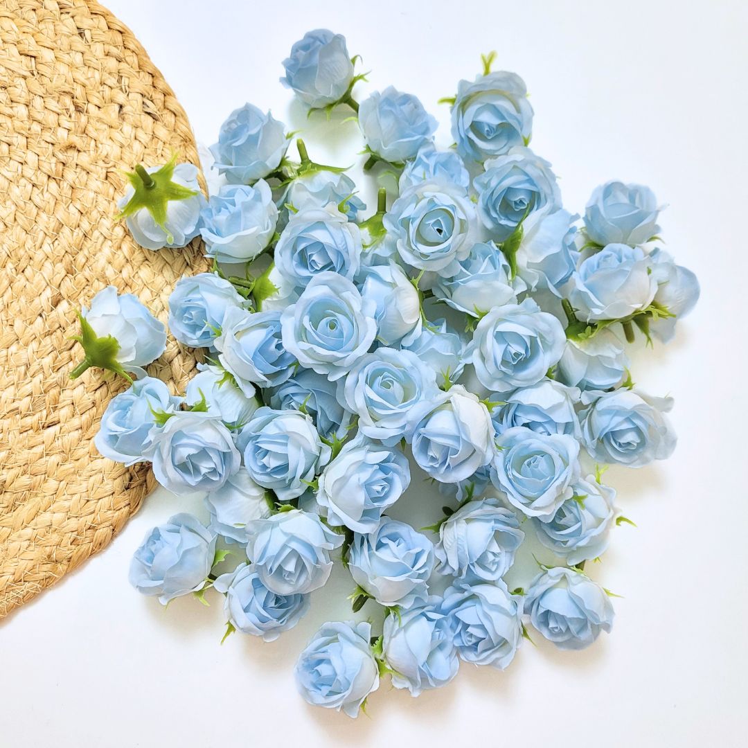 Mini Rose - A2236 Sky Blue