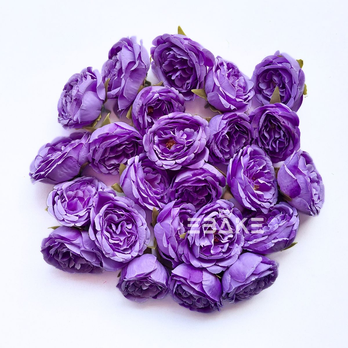 Medium Peony - A1974