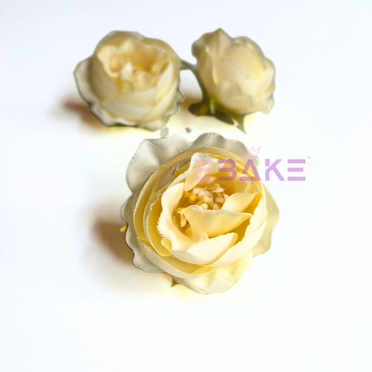 Small Peony - A1805