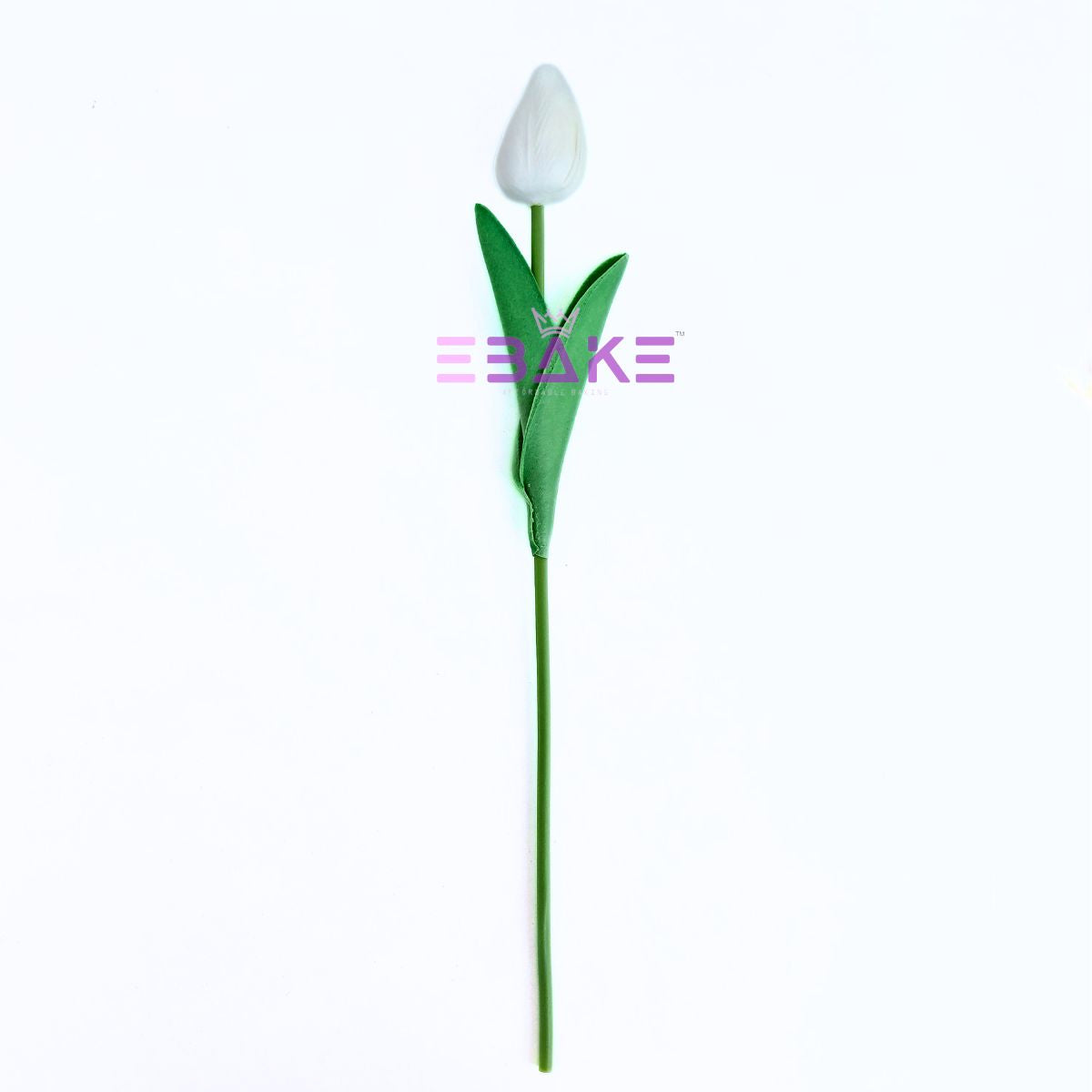 A1924 Off-White Tulips Bunch (10 Tulips)