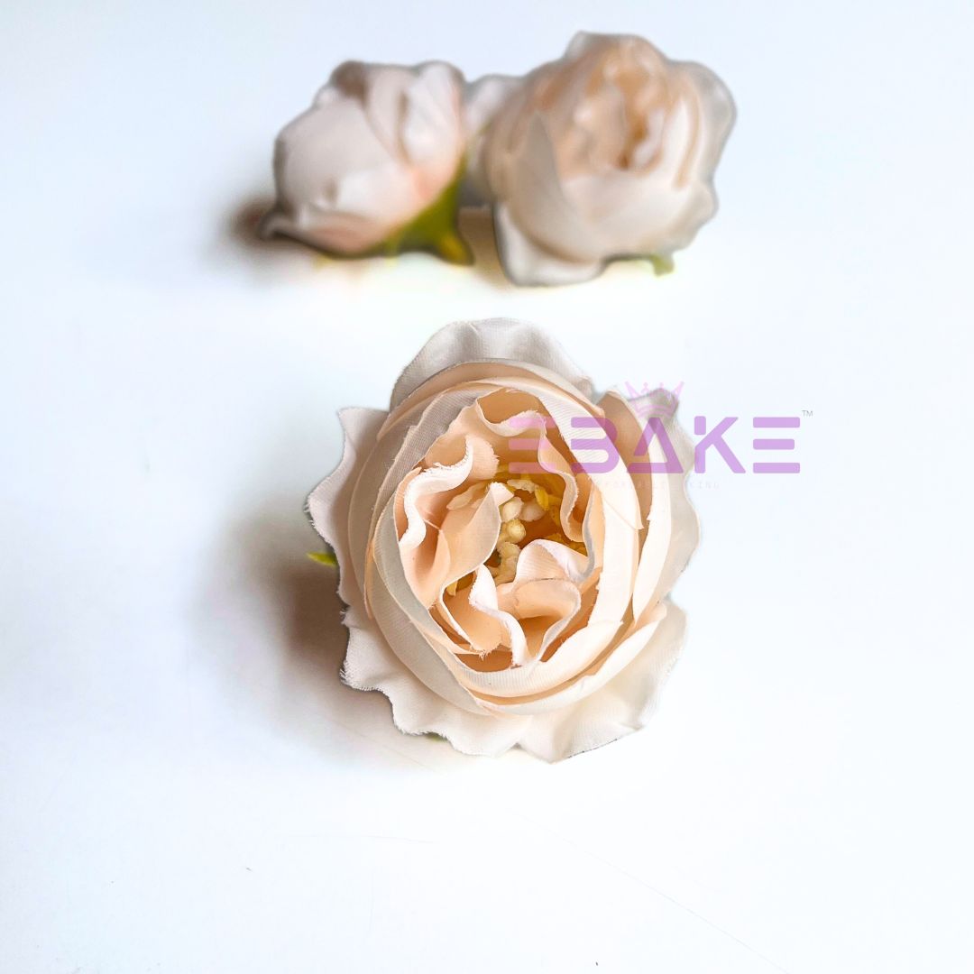 Small Peony - A1806