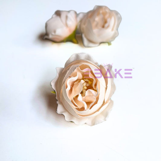 Small Peony - A1806