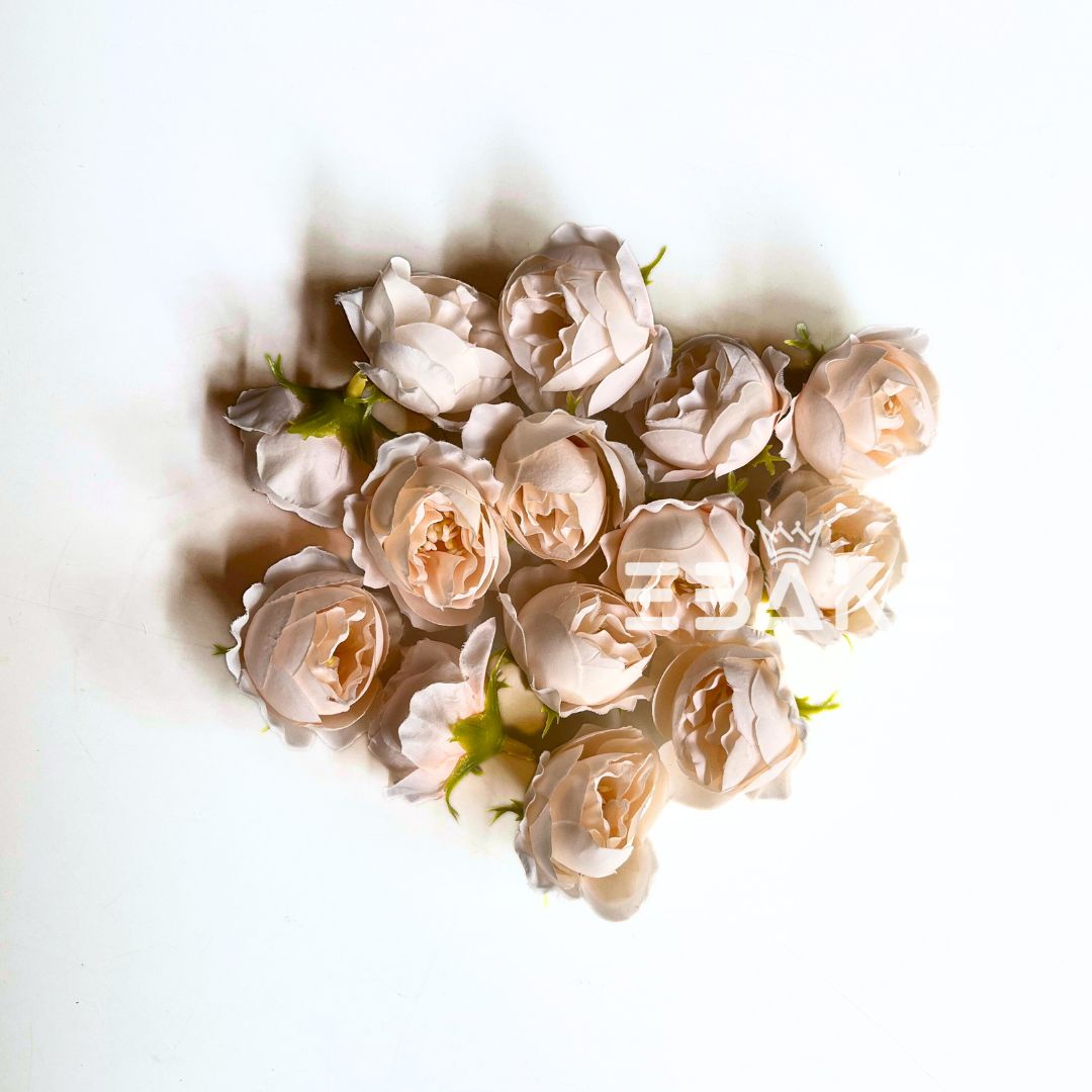 Small Peony - A1806