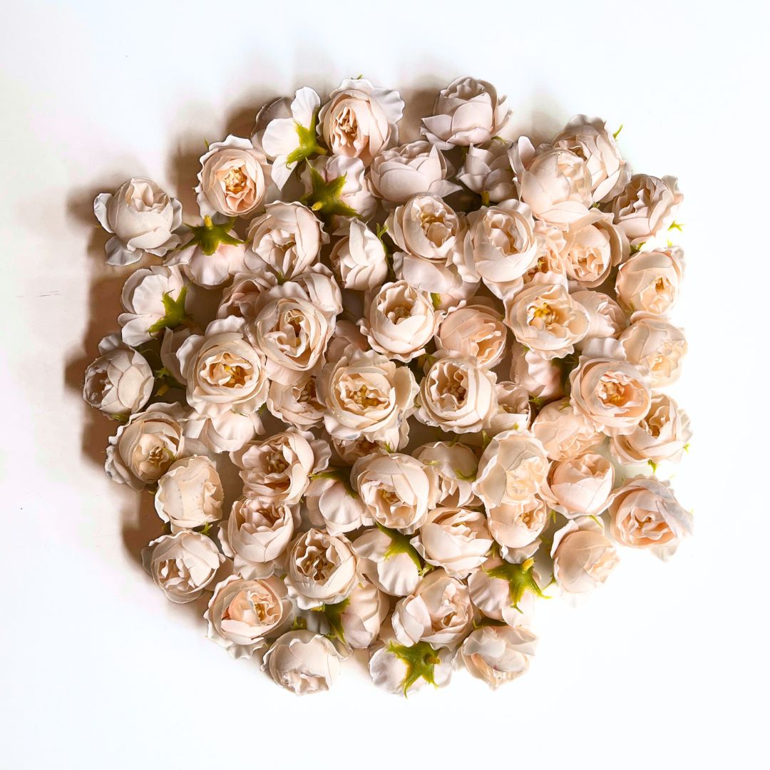 Small Peony - A1806