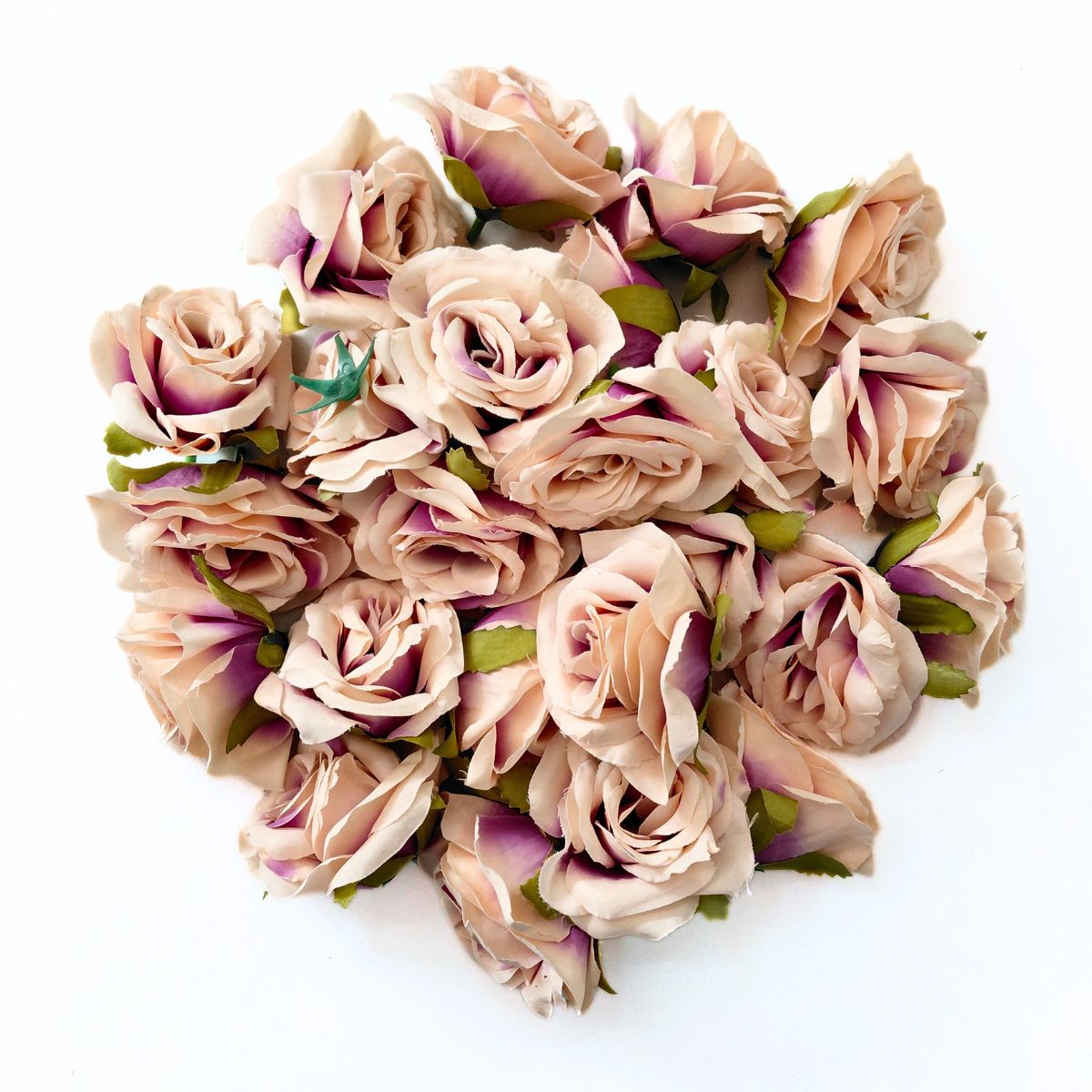 Medium Rose A2010